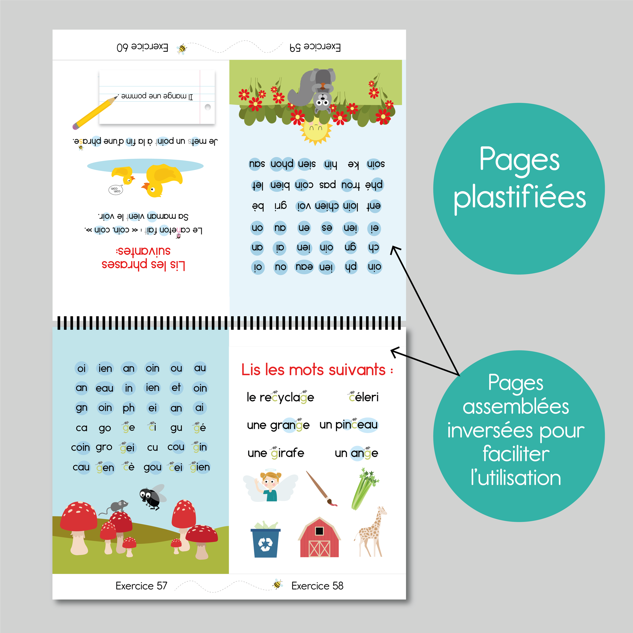 Cahier d'exercices pour la maison | Les Lettramots